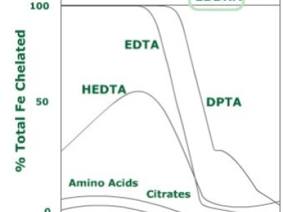 Diferencias entre EDDHA, DTPA y EDTA | Qué quelato de hierro elegir según tu sue