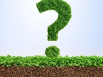 Por qué el quelato de hierro no funciona: errores más comunes (y cómo evitarlos)