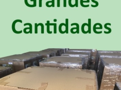 Comprar quelato de hierro al por mayor: packs de ahorro y formatos profesionales