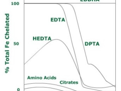 Quelatos de hierro: Diferencias entre EDDHA, EDHSA, EDTA y otras fuentes
